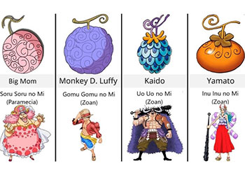 Trái ác quỷ One Piece, tổng hợp các hệ và sức mạnh